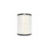RS2863 Baldwin filtro para aire de sello radial de camiones Kenworth T300, Chevrolet Kodiak. P527484 P185067 AF4878M CA7139 GA-1