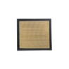 A41444 Purolator One filtro para aire de Ford F-250, F-350, F-450 V8 6.2 Y 7.3 7 litros 2020-21. PA10427 FA1950 LC3Z-9601-A WA10