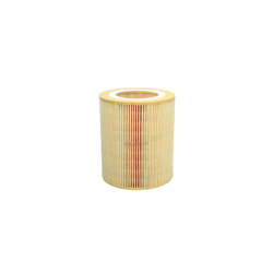 C1250 Mann filtro para aire de compresores Atlas Copco, Ingersoll Rand SSR 20 HP. PA30015 AF26419 49872.1613872000.