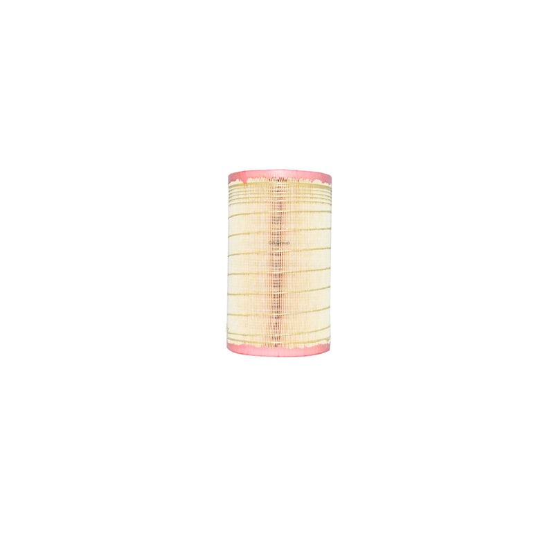 C16010/1 Mann filtro para aire de Chevrolet S10 4 cilindros, 2.5 litros 2015-18. CA11077 GA-6262R LX3679.