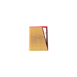 C30904 Mann filtro para aire de Ram 700 4 cilindros, 1.3 litros 2020-21. CA12342 52046268 .