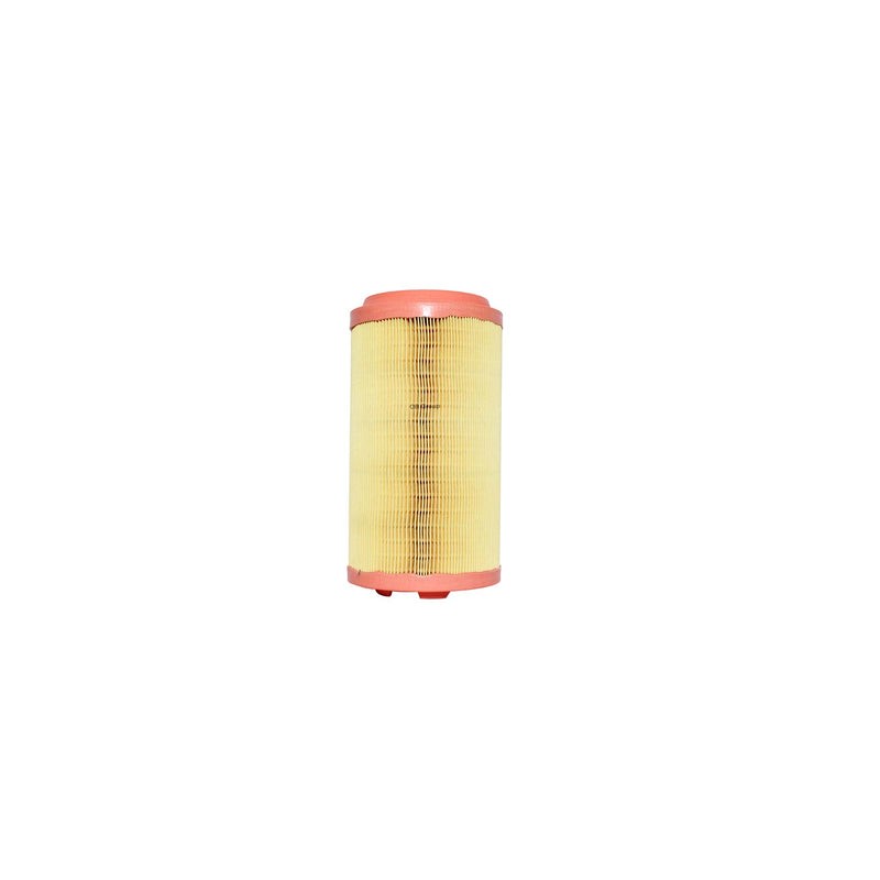 MANN FILTRO PARA AIRE RAM PROMASTER 2015 C17004 RS10021 CA11950 A58178