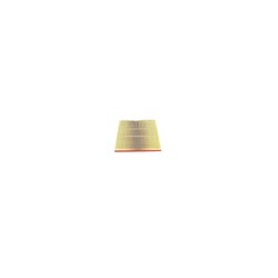 MANN FILTRO PARA AIRE TRANSIT TDCI 2.2 LTS. 2012-17 1741459 LX20651 C35009