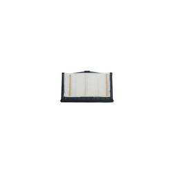 PA31010 Baldwin filtro EnduraPanel para aire de cargadores Bobcat A770 con motor Kubota V3800DI-T Tier II, Tier II. WA10860 7286