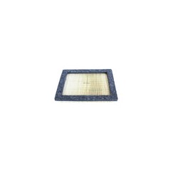 PUROLATOR FILTRO PARA AIRE FORD F-150 2005-07 MA1040 GA1617 CA9687 TA35528