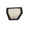PUROLATOR FILTRO PARA AIRE CAPTIVA 08-15 CA10115 ECA-10115 GA290 LX3018 TA35820